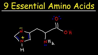 Physiologic pH and buffers  acidbase physiology [upl. by Aicina663]