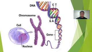 Huntingtons Disease Genetics Overview [upl. by Philemon]