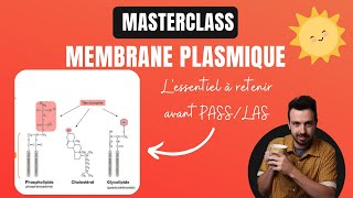 MASTERCLASS  🧫Ce quil faut retenir sur la membrane plasmique avant PASSLAS [upl. by Aizatsana]