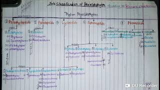 Classification of Phylum Pteridophyta according to Reimers Classification  YashPartner [upl. by Ellenid]