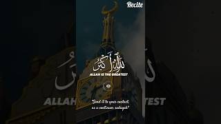 islam takbeer hajj Send it to your contact as a continuos sadaqah shorts viral trending [upl. by Cherianne]