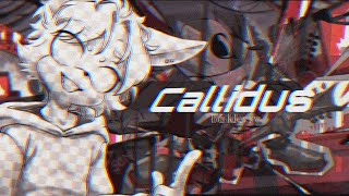 CALLIDUS СОНИКОБЛОГИНГА [upl. by Nawj]