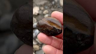 ✅Volcanic concretion ash stone sedimentary type crystals geology agate rockhounding rocks new [upl. by Nnave697]