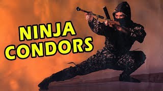 Wu Tang Collection  Ninja Condors [upl. by Forrester]