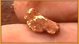 Metal Detecting for Gold Nuggets in WA 2014 pt 7 [upl. by Esidnac]