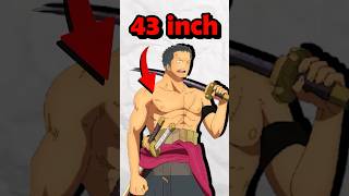 Only 1 of One Piece Fans Know this Fact [upl. by Hashimoto]