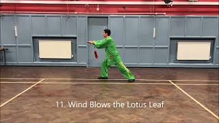 Yang Style 32 Steps Tai Chi Sword Form [upl. by Samala528]