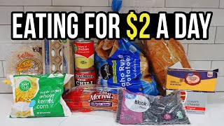 Eating for 2 a Day Cheap and Healthy Meal Ideas You Need to Try [upl. by Sabrina]