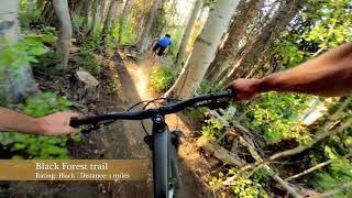 Park City Mountain Biking Trails  Mountain Biking Park City [upl. by Ahsaf178]