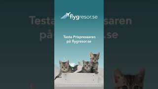 Instruktionsfilm  Prispressaren i app [upl. by Elletsirk]