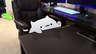 BONGO CAT IN REAL LIFE [upl. by Rotberg]