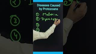 Diseases caused by Protozoans  Protozoa  Disease  diseases disease education science shorts [upl. by Leiad]