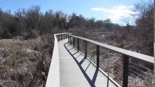 Hiker encounters black panther [upl. by Lada]