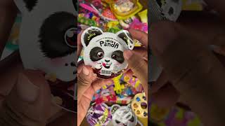 Cho Cho crispy sobat panda candying chewy candy shorts [upl. by Schiff]