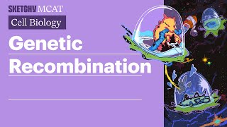 Genetic Recombination Transformation Conjugation Transduction Full Lesson  Sketchy MCAT [upl. by Dinnie413]