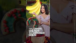 Why Bananas Are Berries But Strawberries Are Not [upl. by Vickey]