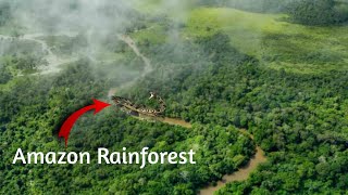 Amazon 4k  Amazon forest animals  Amazon largest forest of the world  Tropical Rainforest [upl. by Merta]