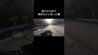 【事故寸前！】こんなことって本当にあるんですね😂 ZX25R ninja kawasaki モトブログツーリング バイク 事故 バイク事故 回避 動物注意 小猿 shorts [upl. by Medin153]