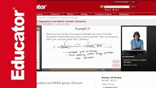 Enhancers and Gene Expression [upl. by Langsdon928]