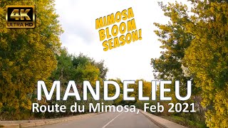 MandelieuLaNapoule France • Route du Mimosas • February 7 2021 • 4K Virtual Ride [upl. by Jackelyn223]