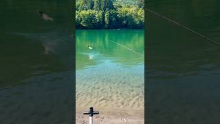 Sockeye Salmon Fishing 🎣 pnw [upl. by Hedi]