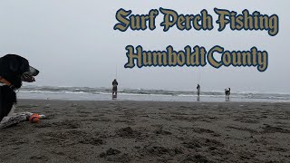 Surf Perch Fishing Humboldt County [upl. by Fanchan228]