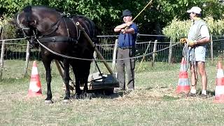 Lacceptation et la familiarisation [upl. by Brine]