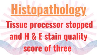 Histopathology Job Interview Question  Tissue processor stopped working HampE score of 3 [upl. by Eanore]