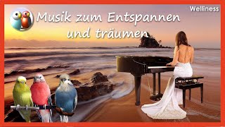 Musik zum Entspannen und Träumen Welli und Bourki singen zu Klavier und Naturgeräuschen 1 Std  38 [upl. by Nitsud]