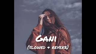 Gani🖤 Akhil॥ Slowed and Reverb॥ Lofi Song 🎶🎵 [upl. by Ylle284]