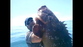 Pesca de Garoupa em Santa Catarina  big monster Grouper in South Brazil [upl. by Primo]