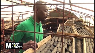 CHARCOAL BRIQUETTES MAKING IN KENYA AFRICA PROCESS [upl. by Zak]