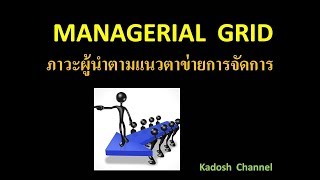 Managerial Grid  Leadership [upl. by Roxanne85]