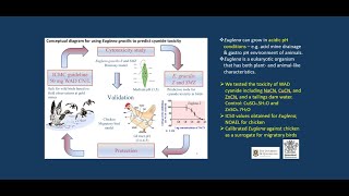 Exploring and understanding the toxicity of inorganic and organic contaminants [upl. by Haziza]