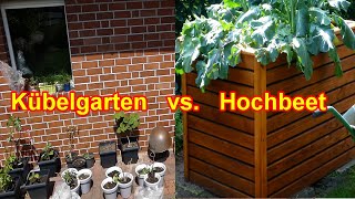 Hochbeet vs Kübelgarten  Vorteile amp Nachteile  Darum habe ich mein Gemüse amp Nutzpflanzen im Kübel [upl. by Neroc]