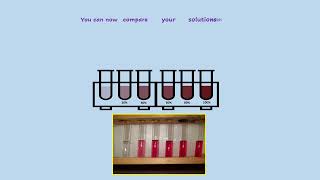 AQA A LEVEL BIOLOGY  REQUIRED PRACTICAL 4 INVESTIGANTING MEMBRANE PERMEABILITY [upl. by Yanaton]