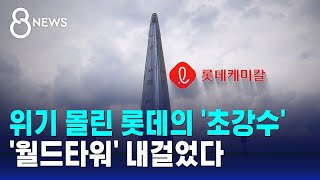 위기설 롯데 그룹 상징 월드타워 담보로 내놨다  SBS 8뉴스 [upl. by Ssenav247]