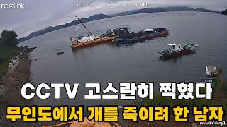 3년 간 무인도에 살던 남자와 개들에게 일어난 아찔했던 순간 무인도그 일주편EP8 [upl. by Eimmij764]