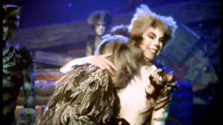 Cats the Musical  the film [upl. by Silloc]