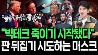 독기 품은 머스크의 빅테크 때리기 판 뒤집기 성공할까 [upl. by Ultan707]