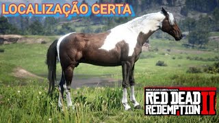 RED DEAD REDEMPTION II LOCALIZAÇÃO PAINT HORSE AMERICANO TOBIANO [upl. by Petuu544]