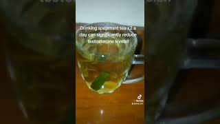 spearmint tea for PCOS spearmint tea for facial hair hormonal acne spearmint tea PCOSpcos [upl. by Selin]