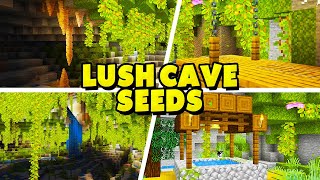 20 Minecraft Lush Cave Seeds Bedrock amp Java Edition 118 [upl. by Thanos]