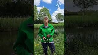 Klimaatbuffer IJsselmonde waterkwaliteit waternatuurlijk [upl. by Esor]