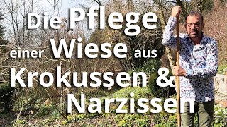 BLÜTENMEER Was du bei der Pflege der BLUMENWIESE jetzt NICHT machen sollst [upl. by Noinatrad]