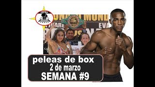 peleas de box 2 de marzo 2019semana 9 [upl. by Ahsiat]