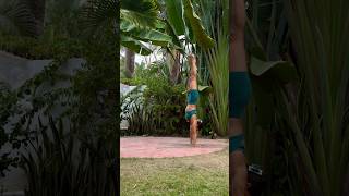 Handstand kick up progressions [upl. by Assirialc]