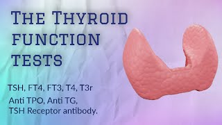 Thyroid function test  TSH  T4  T3  FT4 FT3 thyroid thyroidhormone [upl. by Niaz223]