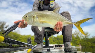 27quot JACK CREVALLE in Tampa Bay Florida  Sea Eagle FishSUP 126 amp Bixpy Outboard Kit [upl. by Asserrac]