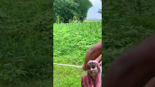 बाहुबली 😄😅 funny videos comedy videos sohrt 😂🤣 [upl. by Kimmel]